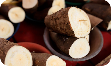 Sac de tubercule de Manioc