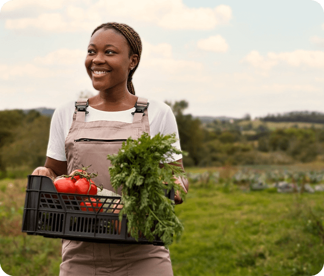Image de présentation